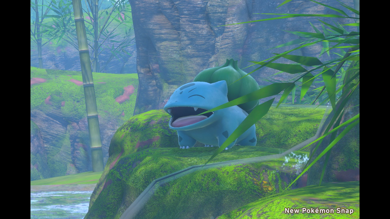 Olha a felicidade desse bulbasaur